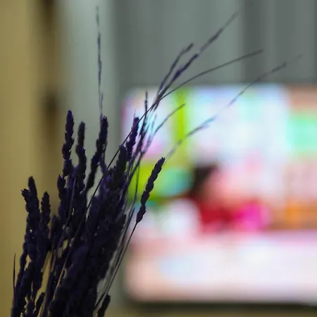 Green-garden Apartmets Appartement *