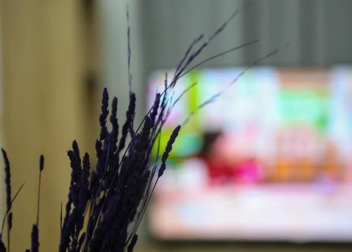 Green-garden Apartmets Apartamento *